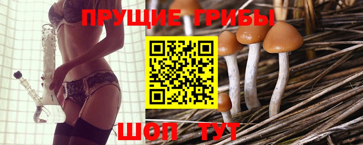 Псилоцибиновые грибы GOLDEN TEACHER  Псилоцибиновые грибы MAGIC MUSHROOMS  Вход с VPN  Новомосковск 